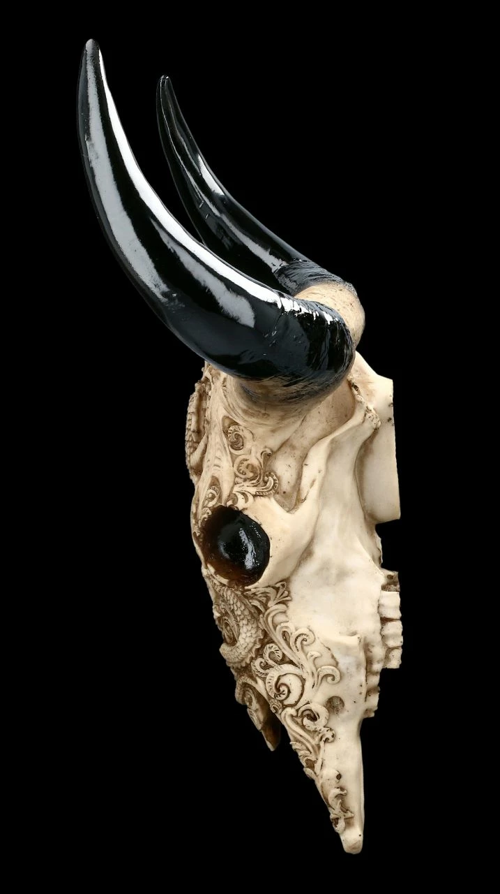 Wandrelief Stier Schädel - Drachenmotiv Groß 8 Wandrelief Stier Schädel - Drachenmotiv Groß – Bild 6