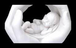 Dekofigur - Hände Mit Baby - Shelter -FIGUREN Verkäufe 2D FS23451 Dekofigur H nde mit Baby Shelter 11NDSul4sXMaRTD 1280x1280