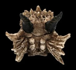 Schatulle - Drachen Totenschädel -FIGUREN Verkäufe 2D FS23495 Schatulle DrachenTotensch del 3F3IRplMFaPRwE 1280x1280