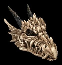 Schatulle - Drachen Totenschädel -FIGUREN Verkäufe 2D FS23495 Schatulle DrachenTotensch del 5aFxqnq50FeRw8 1280x1280