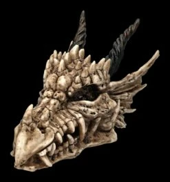 Schatulle - Drachen Totenschädel -FIGUREN Verkäufe 2D FS23495 Schatulle DrachenTotensch del 6s02rdMGWXdc7j 1280x1280