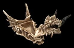 Schatulle - Drachen Totenschädel -FIGUREN Verkäufe 2D FS23495 Schatulle DrachenTotensch del 75pNzV6PhQKFCf 1280x1280