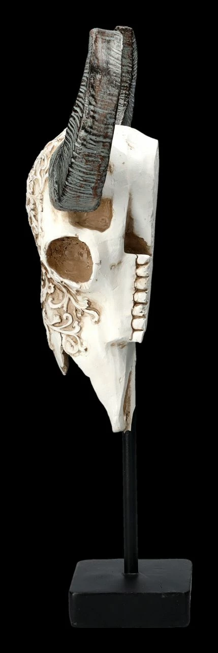 Bullen Totenkopf - Verziert Mit Ständer 5 Bullen Totenkopf - Verziert Mit Ständer – Bild 3