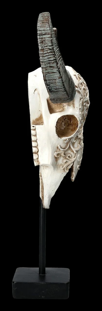 Bullen Totenkopf - Verziert Mit Ständer 7 Bullen Totenkopf - Verziert Mit Ständer – Bild 5