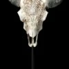 Stier Totenkopf - Verziert Mit Ständer 1 Stier Totenkopf - Verziert Mit Ständer -FIGUREN Verkäufe 2D FS23526 Stier Totenkopf mit Verziehrungen und St nder 1 1280x1280