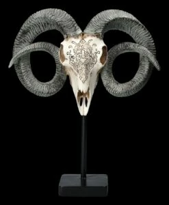 Widder Totenkopf - Verziert Mit Ständer