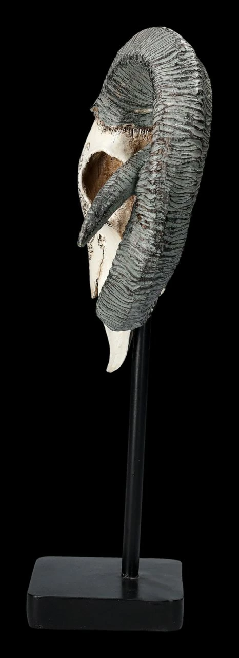 Widder Totenkopf - Verziert Mit Ständer 6 Widder Totenkopf - Verziert Mit Ständer – Bild 4