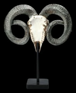 Widder Totenkopf - Verziert Mit Ständer 13 Widder Totenkopf - Verziert Mit Ständer -FIGUREN Verkäufe 2D FS23527 Widder Totenkopf mit Verzeirungen und St nder 3 1280x1280