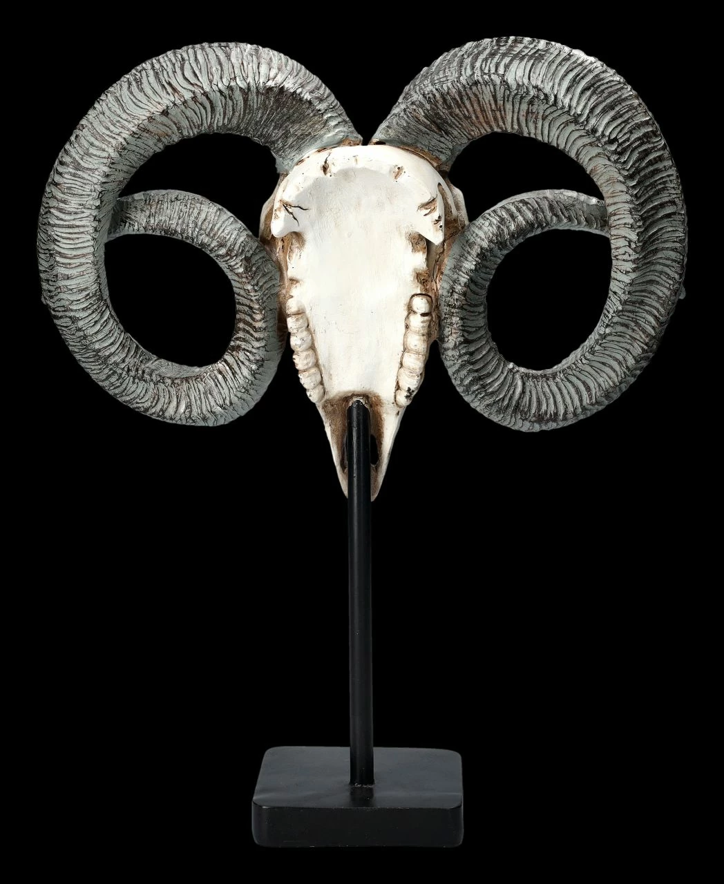 Widder Totenkopf - Verziert Mit Ständer 7 Widder Totenkopf - Verziert Mit Ständer – Bild 5