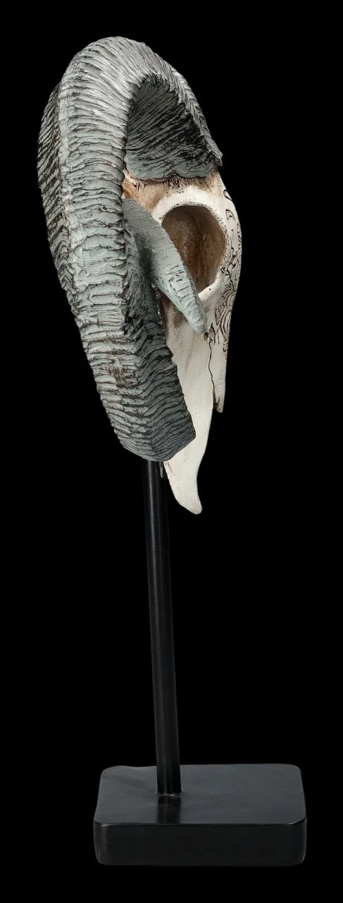 Widder Totenkopf - Verziert Mit Ständer 8 Widder Totenkopf - Verziert Mit Ständer – Bild 6