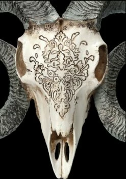 Widder Totenkopf - Verziert Mit Ständer 15 Widder Totenkopf - Verziert Mit Ständer -FIGUREN Verkäufe 2D FS23527 Widder Totenkopf mit Verzeirungen und St nder 8 1280x1280