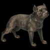 Hunde Figur - Pit Bull Terrier -FIGUREN Verkäufe 2D FS23626 Hunde Figur Pit Bull Terrier 6kzNV38b4OAeaM 1280x1280