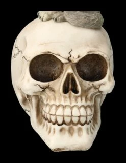 Totenkopf Mit Grauem Wolf -FIGUREN Verkäufe 2D FS23931 Totenkopf mit grauem Wolf 10 1280x1280