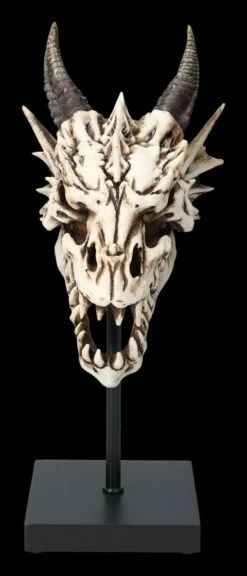 Drachen Totenkopf Auf Ständer -FIGUREN Verkäufe 2D FS23949 Drachen Totenkopf auf Stander 4 1280x1280