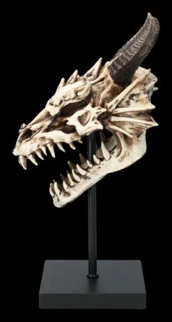 Drachen Totenkopf Auf Ständer -FIGUREN Verkäufe 2D FS23949 Drachen Totenkopf auf Stander 5 1280x1280