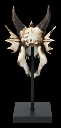 Drachen Totenkopf Auf Ständer -FIGUREN Verkäufe 2D FS23949 Drachen Totenkopf auf Stander 6 1280x1280
