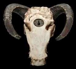 Wandrelief - Teuflischer Schädel Mit Pentagramm 11 Wandrelief - Teuflischer Schädel Mit Pentagramm -FIGUREN Verkäufe 2D FS23952 Wandrelief Teuflischer Schadel mit Pentagramm 12 1280x1280