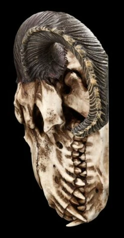 Wandrelief - Teuflischer Schädel Mit Pentagramm 13 Wandrelief - Teuflischer Schädel Mit Pentagramm -FIGUREN Verkäufe 2D FS23952 Wandrelief Teuflischer Schadel mit Pentagramm 2 1280x1280