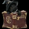 Katzen Figur Mit Zauberbuch - Kitty's Grimoire Rot 2 Katzen Figur Mit Zauberbuch - Kitty's Grimoire Rot -FIGUREN Verkäufe 2D FS24120 Katzen Figur mit Zauberbuch Kittys Grimoire rot 1 1280x1280