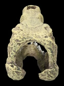 Aquarium Figur - Krokodilkopf M -FIGUREN Verkäufe 2D FS24144 Aquarium Figur Krokodilkopf M 4 1280x1280