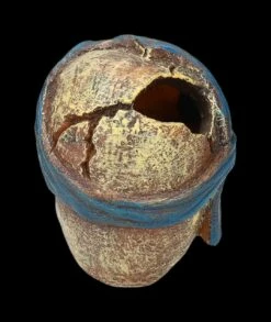 Aquarium Figur - Totenkopf Pirat Mit Tuch 12 Aquarium Figur - Totenkopf Pirat Mit Tuch -FIGUREN Verkäufe 2D FS24149 Aquarium FigurPriat mit Tuch 3 1280x1280