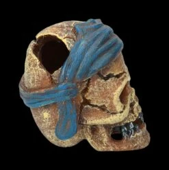 Aquarium Figur - Totenkopf Pirat Mit Tuch 13 Aquarium Figur - Totenkopf Pirat Mit Tuch -FIGUREN Verkäufe 2D FS24149 Aquarium FigurPriat mit Tuch 4 1280x1280