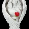 Engelfigur - Angel Blessing Mit Rose Groß 1 Engelfigur - Angel Blessing Mit Rose Groß -FIGUREN Verkäufe 2D FS24263 Engelfigur Angel Blessing mit Rose gross 2 1280x1280