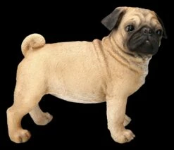 Mops Figur Stehend 10 Mops Figur Stehend -FIGUREN Verkäufe 2D FS24296 Mops Figur stehemd 1 1280x1280