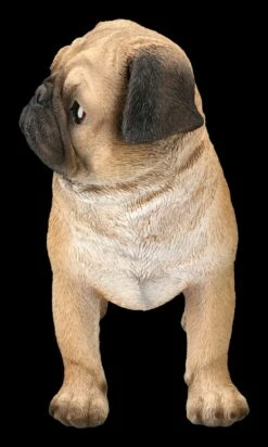 Mops Figur Stehend 11 Mops Figur Stehend -FIGUREN Verkäufe 2D FS24296 Mops Figur stehemd 3 1280x1280