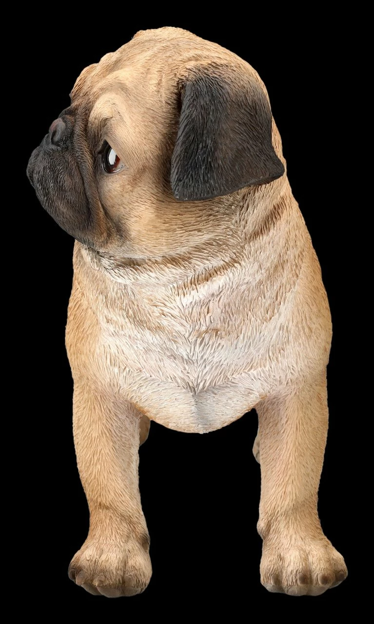 Mops Figur Stehend 5 Mops Figur Stehend – Bild 3