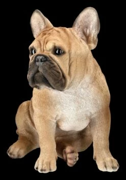 Französische Bulldoggen Figur -FIGUREN Verkäufe 2D FS24298 Franzosische Bulldoggen Figur 9 1280x1280