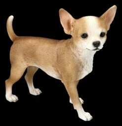 Chihuahua Figur