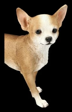 Chihuahua Figur -FIGUREN Verkäufe 2D FS24299 Chihuahua Figur 8 1280x1280