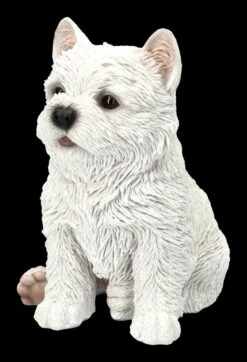West Highland Terrier Figur - Westie Welpe -FIGUREN Verkäufe 2D FS24301 West Highland Terrier Figur Westi Welpe 6 1280x1280