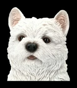 West Highland Terrier Figur - Westie Welpe -FIGUREN Verkäufe 2D FS24301 West Highland Terrier Figur Westi Welpe 7 1280x1280