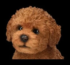 Bichon Frise Welpen Figur -FIGUREN Verkäufe 2D FS24302 Bichon Frise WElpen Figur 7 1280x1280