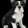 Französischer Bulldogge Welpen Figur 1 Französischer Bulldogge Welpen Figur -FIGUREN Verkäufe 2D FS24303 Franzosische Bulldogge WElpen Figur 2 1280x1280