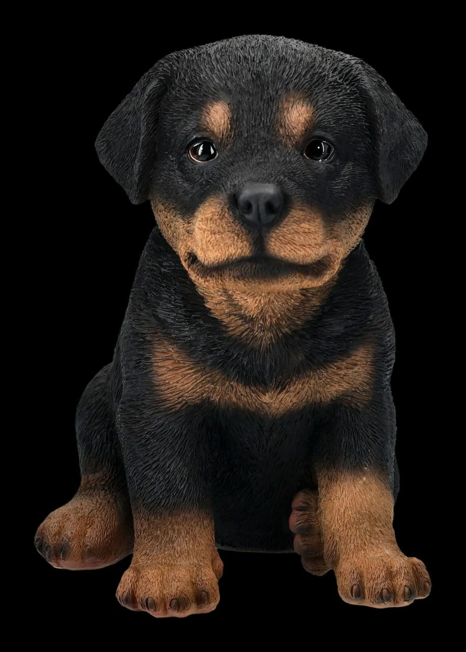 Rottweiler Welpen Figur 3 Rottweiler Welpen Figur