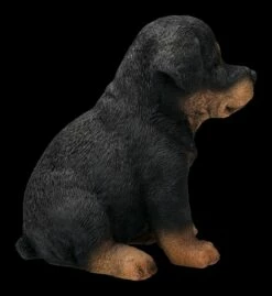 Rottweiler Welpen Figur 14 Rottweiler Welpen Figur -FIGUREN Verkäufe 2D FS24304 Rottweiler Welpen Figur 5 1280x1280