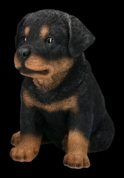 Rottweiler Welpen Figur 11 Rottweiler Welpen Figur -FIGUREN Verkäufe 2D FS24304 Rottweiler Welpen Figur 7 1280x1280