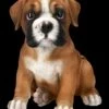 Boxer Hund Welpen Figur -FIGUREN Verkäufe 2D FS24305 Boxer Hund Welpen Figur 2 1280x1280