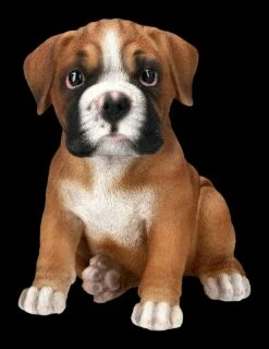 Boxer Hund Welpen Figur