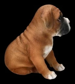 Boxer Hund Welpen Figur 14 Boxer Hund Welpen Figur -FIGUREN Verkäufe 2D FS24305 Boxer Hund Welpen Figur 5 1280x1280