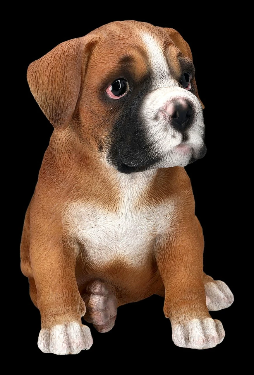 Boxer Hund Welpen Figur 4 Boxer Hund Welpen Figur – Bild 2