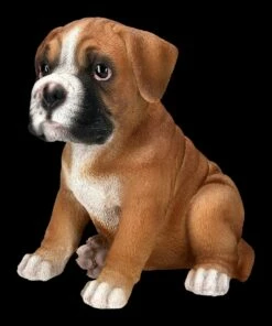 Boxer Hund Welpen Figur 11 Boxer Hund Welpen Figur -FIGUREN Verkäufe 2D FS24305 Boxer Hund Welpen Figur 7 1280x1280