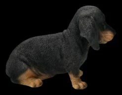 Dackel Welpen Figur -FIGUREN Verkäufe 2D FS24306 Dackel Welpan Figur 6 1280x1280