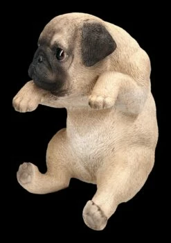 Mops Welpen Figur Als Blumentopf-Hänger -FIGUREN Verkäufe 2D FS24307 Mops Welpen Figur als Blumentopf Hanger 6 1280x1280