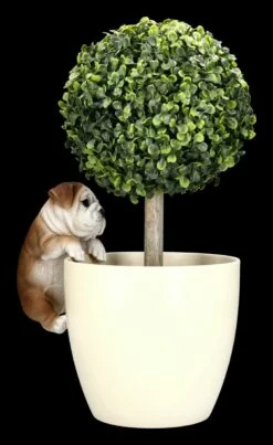Bulldogge Welpen Figur Als Blumentopf-Hänger -FIGUREN Verkäufe 2D FS24308 Bulldogge Welpen Figur als Blumentopf Hanger 13 1280x1280