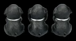 Labrador Figuren - Nichts Böses 12 Labrador Figuren - Nichts Böses -FIGUREN Verkäufe 2D FS24311 Labrador Figuren Nichts Boses 2 1280x1280