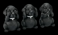 Labrador Figuren - Nichts Böses 10 Labrador Figuren - Nichts Böses -FIGUREN Verkäufe 2D FS24311 Labrador Figuren Nichts Boses 3 1280x1280